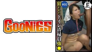 DG-069 Targeted Toilet Cleaning Staff 1 DG-069 Targeted Toilet Cleaning Staff 1
