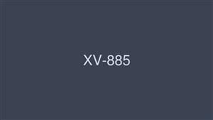 XV-885 Im Retiring Haruka Ito Will Celebrate XV-885 Im Retiring Haruka Ito Will Celebrate