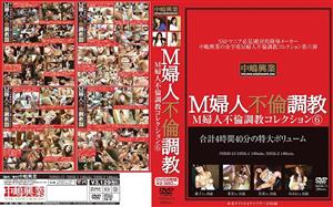NHSD-013 M Woman Affair Play Collection 6