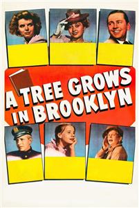 A Tree Grows in Brooklyn